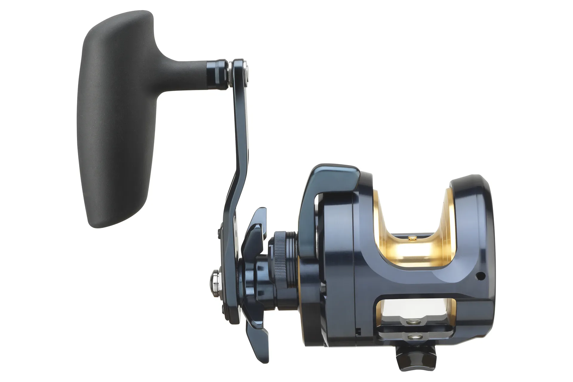 Daiwa 24 Saltiga L 15 Multirolle Ansicht 3