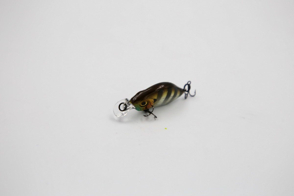 TAIPAN Humpback US Perch 33mm
