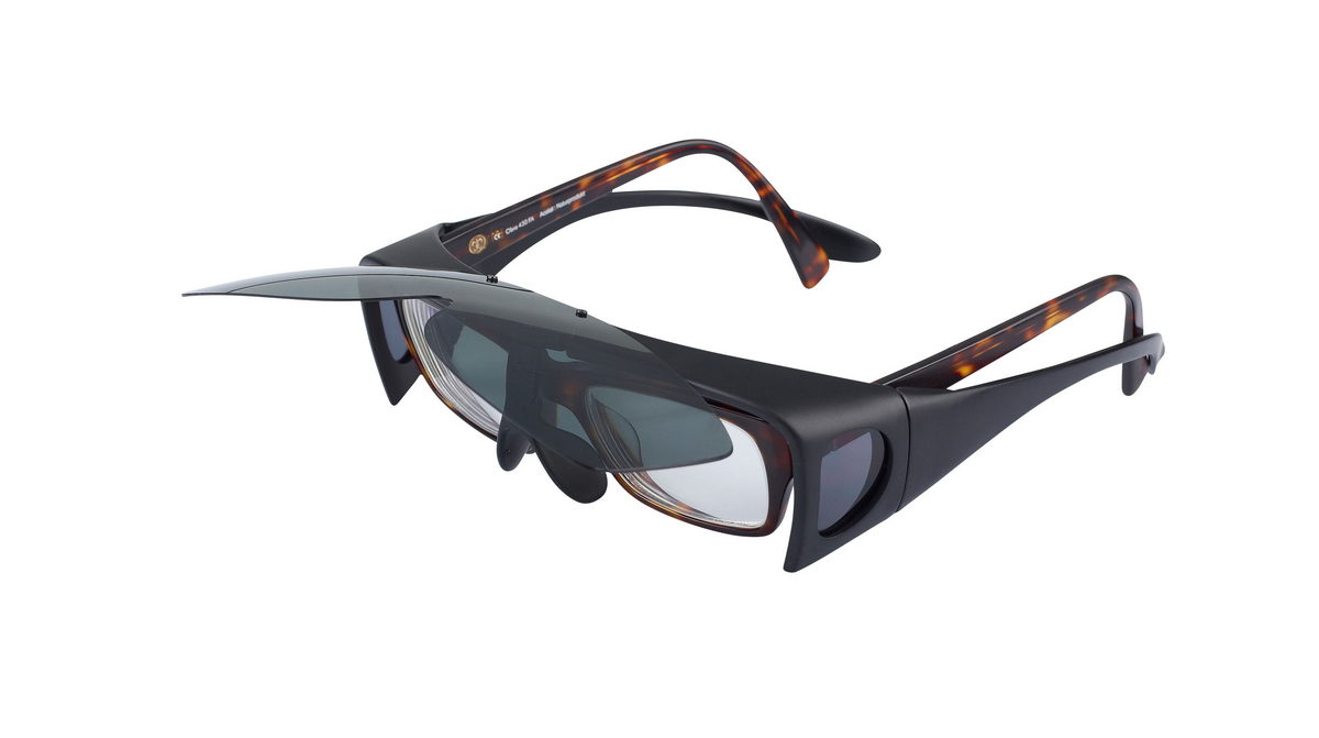 BALZER Polarisationsbrille Vienna, graue Gläser BALZER Polarisationsbrille Vienna, graue Gläser