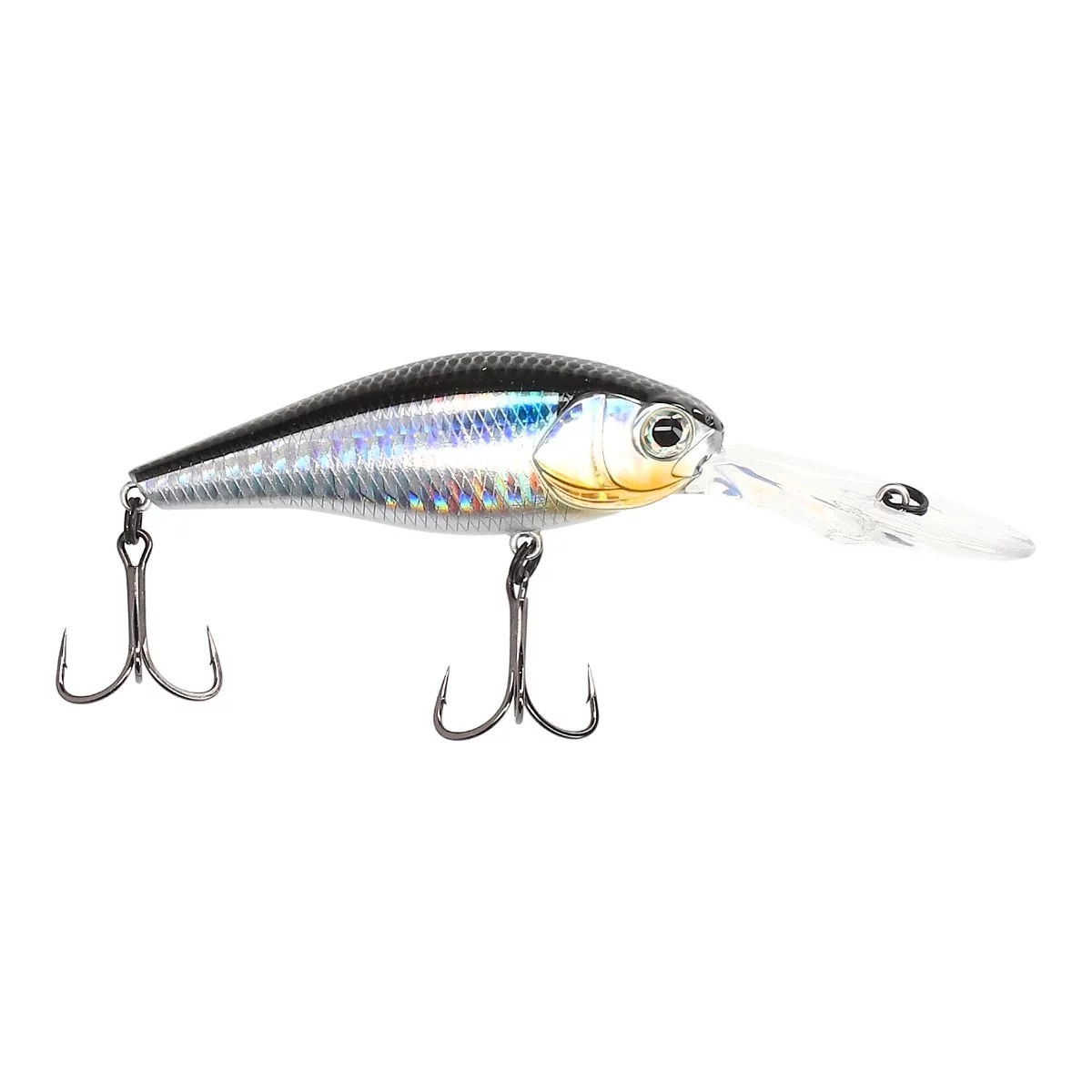 TAIPAN Diving Shad