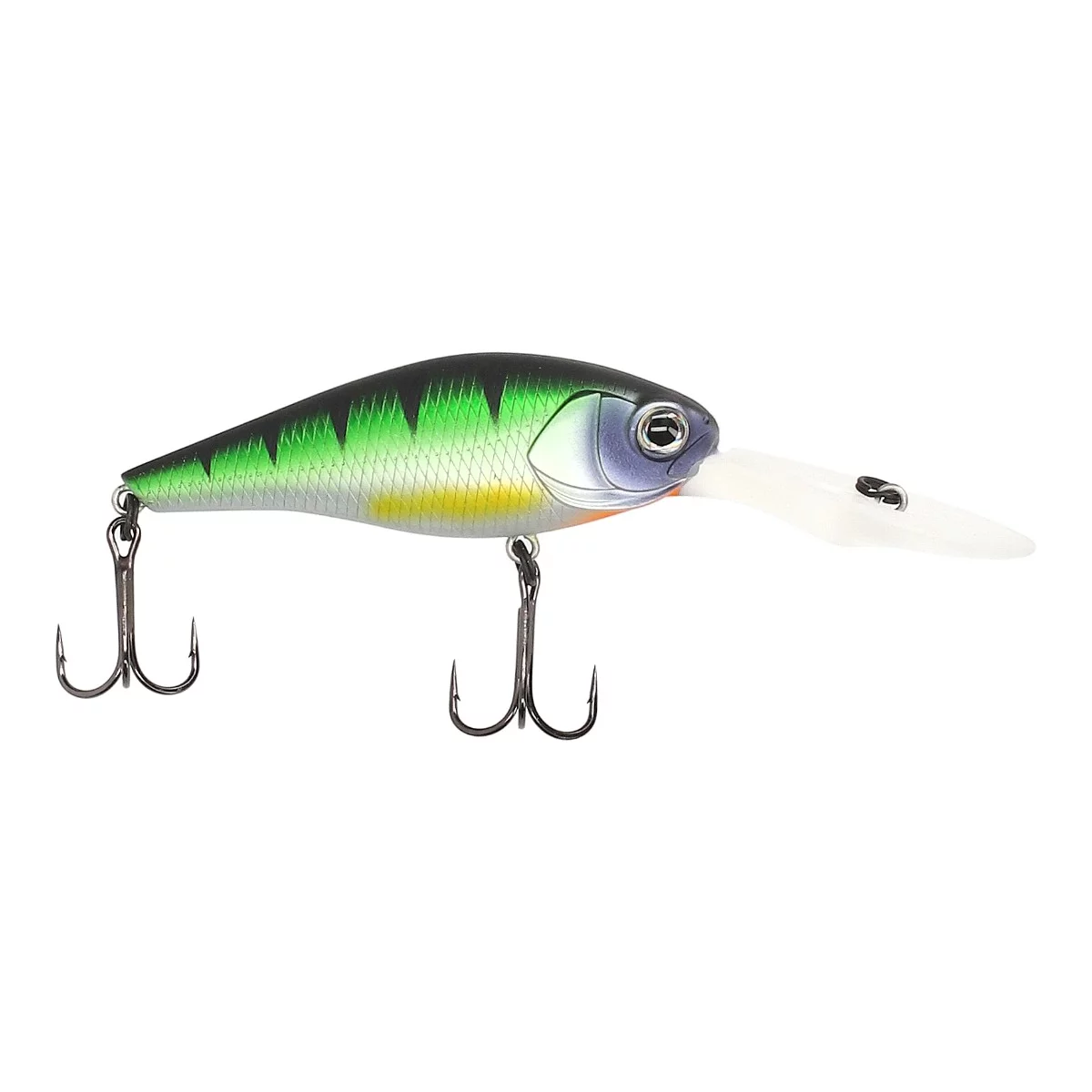 Green Perch