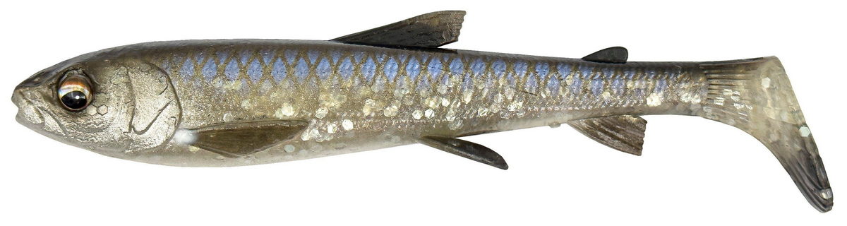 Whitefish