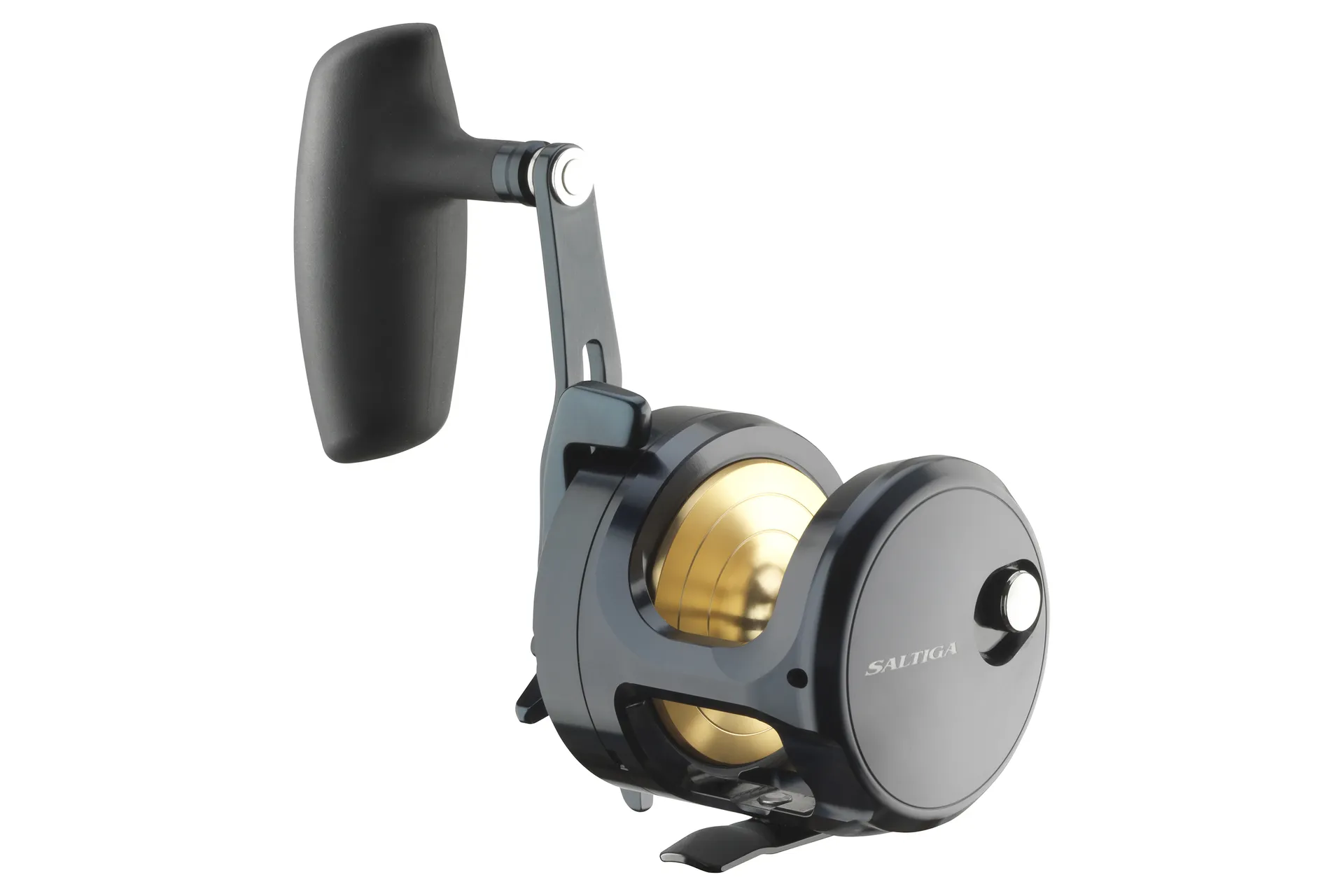 Daiwa 24 Saltiga L 15 Multirolle Ansicht 2