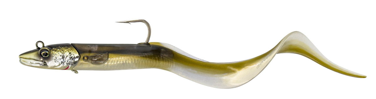 Conger