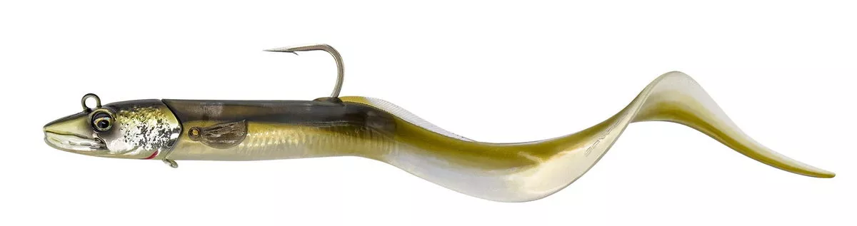 Conger