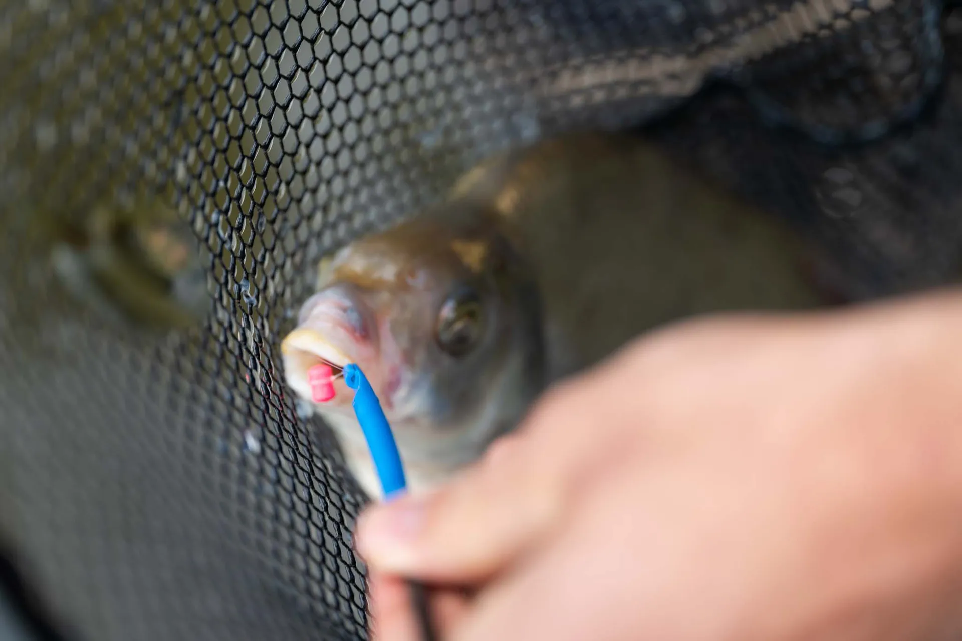 PRESTON Floater Disgorger Baiting Needle weitere Ansicht