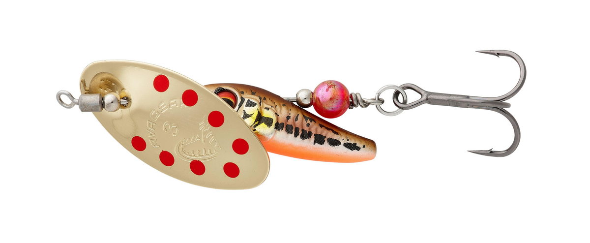 minnow gold red