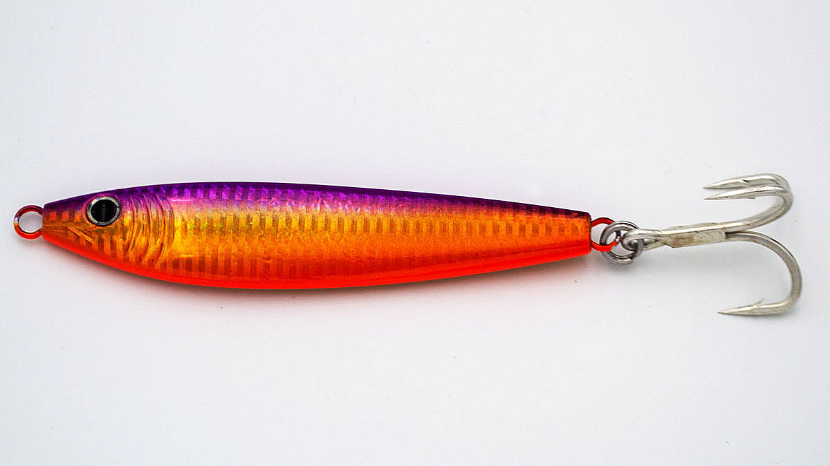 Baltic Herring