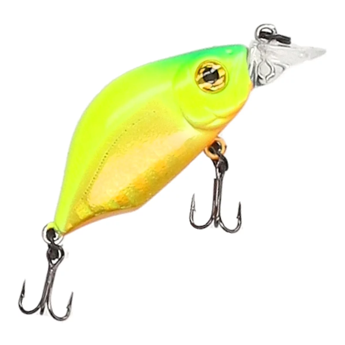 TAIPAN Humpback Citrus 33mm