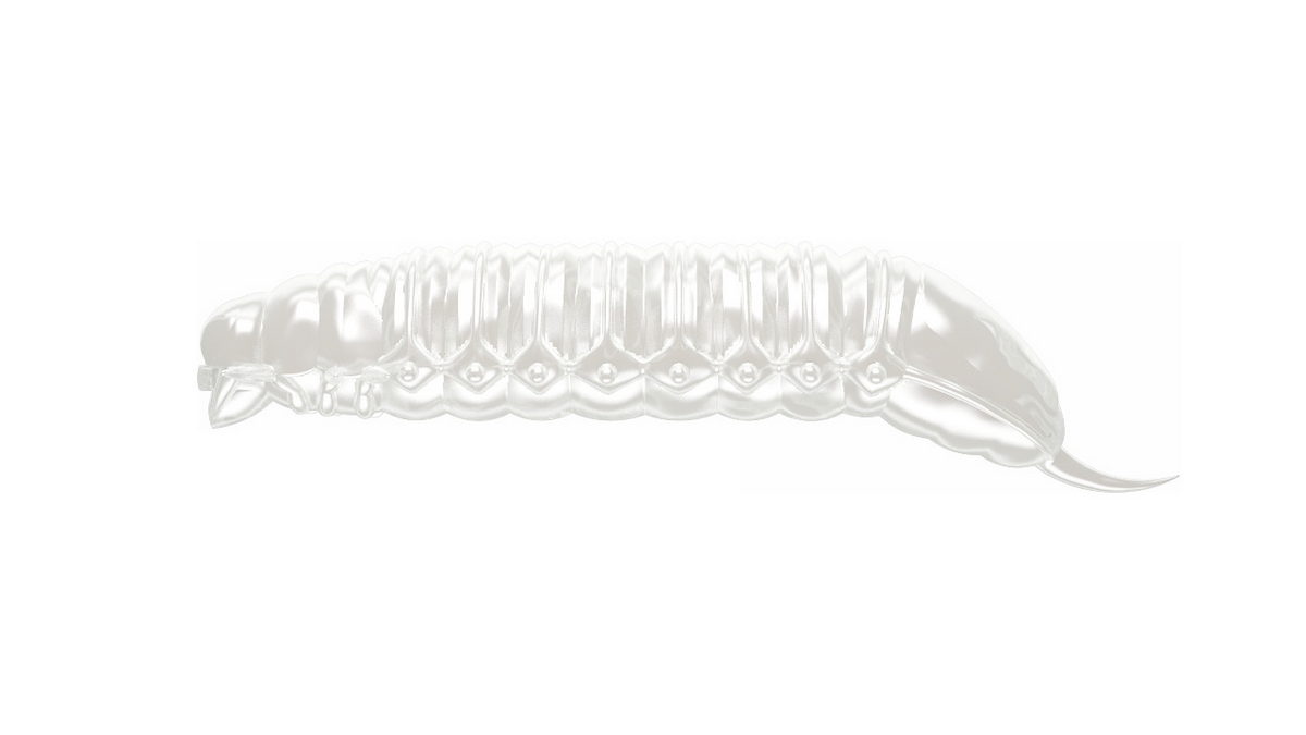 LIBRA LURES Goliath 30 Cheese 040-black 15st, Forellenköder, schwimmend und aromatisiert — 3.00 Silver Pearl Cheese
