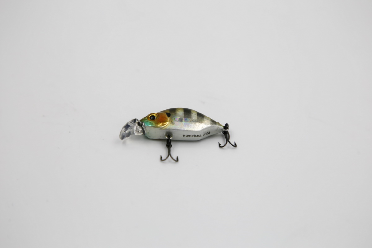 TAIPAN Humpback US Perch 33mm