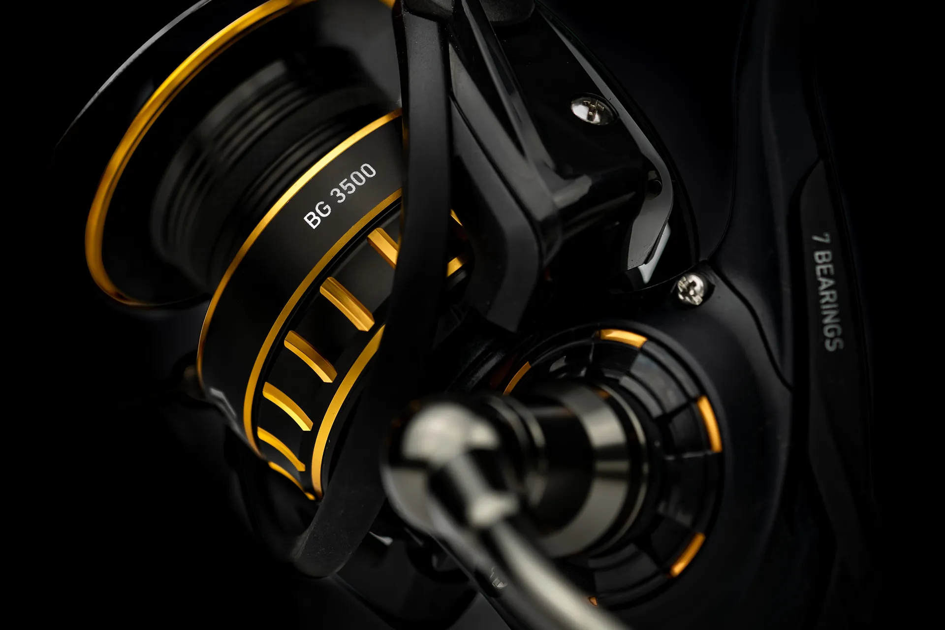 Daiwa BG 2500 Meeresrolle Ansicht 4