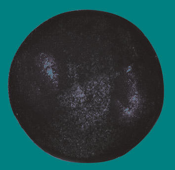 BALZER 71 Nord Anti Crash Perlen BALZER 71 Nord Anti Crash Perlen