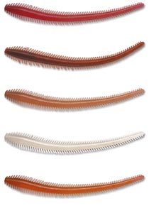 BERKLEY Seeringelwurm