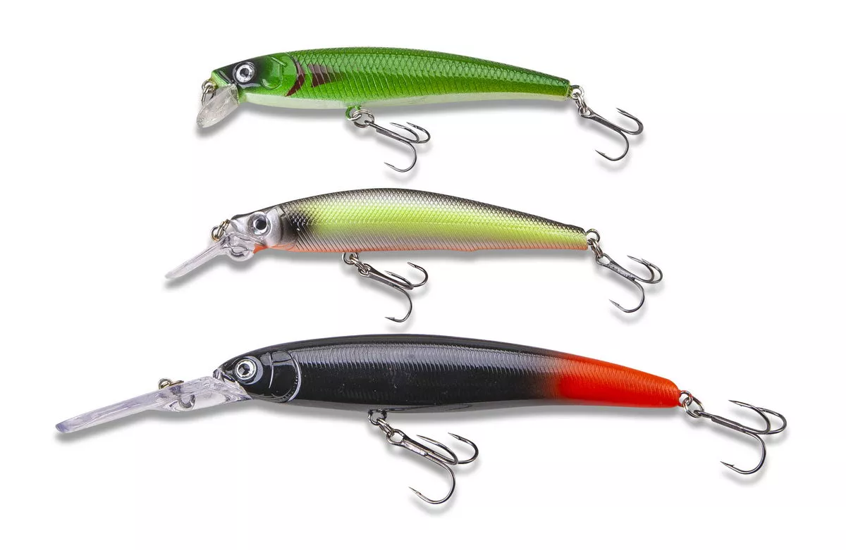 Zander-Set 1