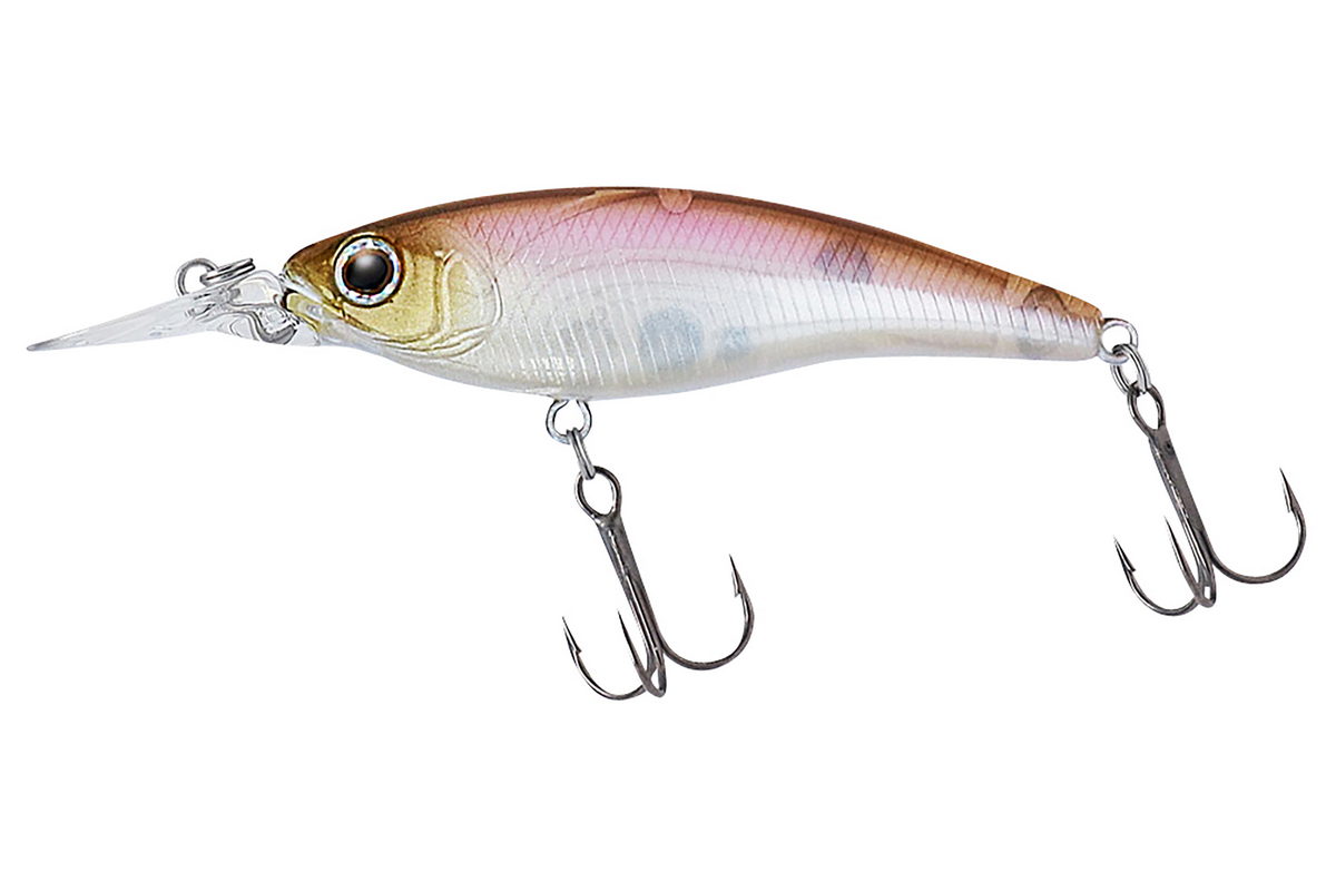 DAIWA Steez Shad | 60SP-SR Minnowbait schwebend Shallow Runn DAIWA Steez Shad | 60SP-SR Minnowbait schwebend Shallow Runn