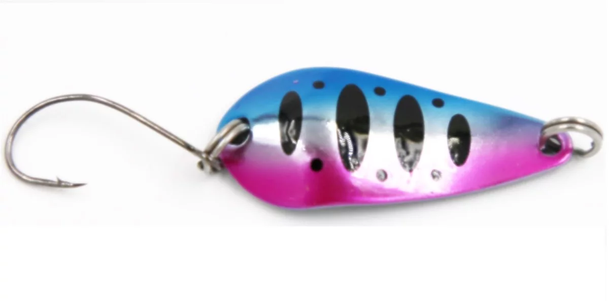 blue pink black-dot