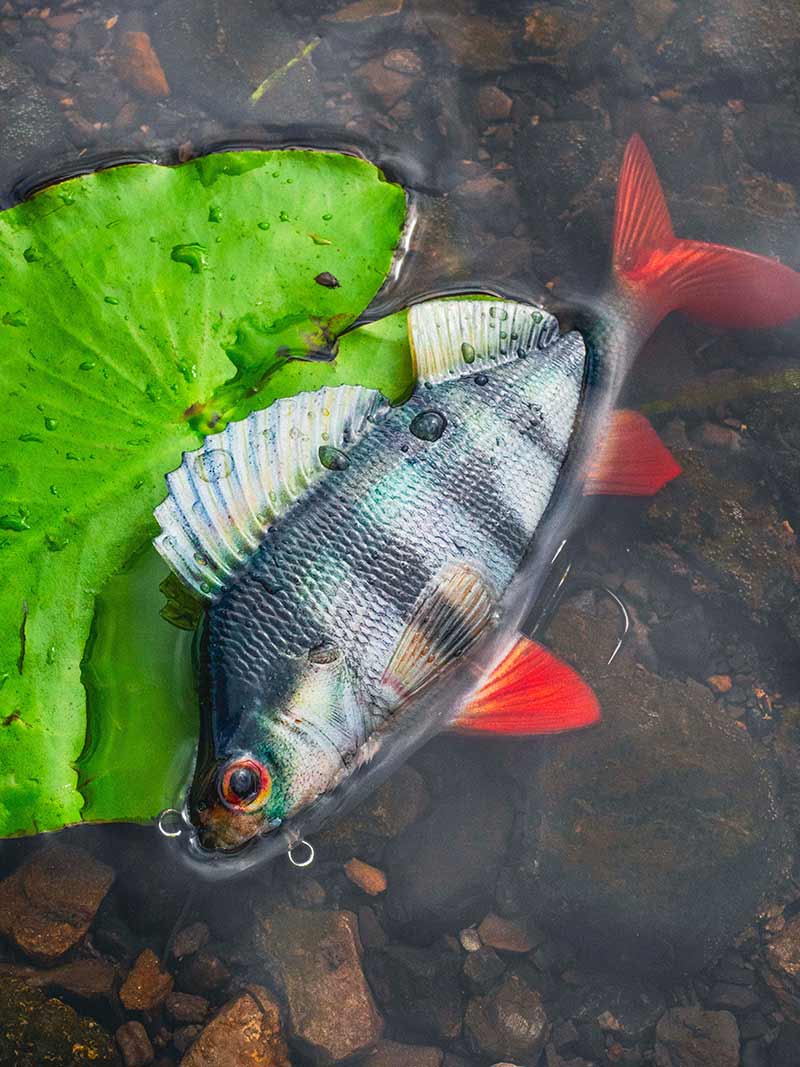 FOX RAGE Ultra-Realistic Perch Replicant 10cm - 22g/#8 weitere Ansicht