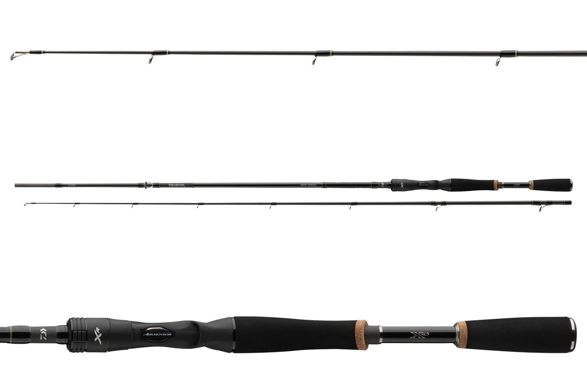 DAIWA Prorex XR Baitcast Baitcastrute | XH | XXH