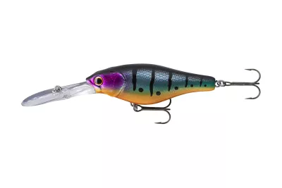 DAIWA Prorex Swift Crank 250 black gold 70mm 12.9g 1Stk. Wobbler — 7.00 blue tiger