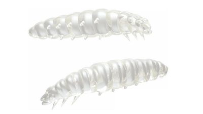 LIBRA LURES Larva 30 Cheese 001-White 15st, Forellenköder, schwimmend und aromatisiert — 2.50 Silver Pearl Cheese