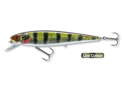 DAIWA PROREX Minnow 120 F-SR live ayu 12cm 17g 1st — 12.0 live perch