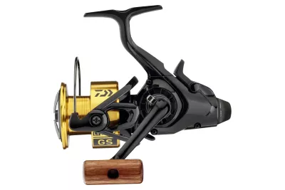DAIWA GS BR LT 5000-C|20 — 3000