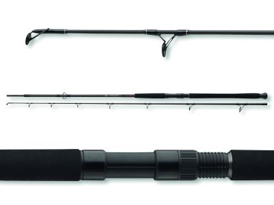 DAIWA Exceler Catfish Boje 1002XXH 2S|200-600g|3.00m — Wels 600 3.00
