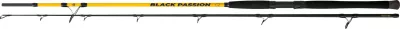 BLACK CAT 2,40m Black Passion G2 Spin 50-200g — Wels 200 2.40