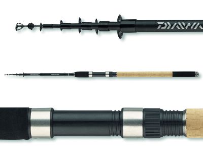 DAIWA Procaster Tele 1007TM 7S|10-30g|3.00m — Tele 30 3.00
