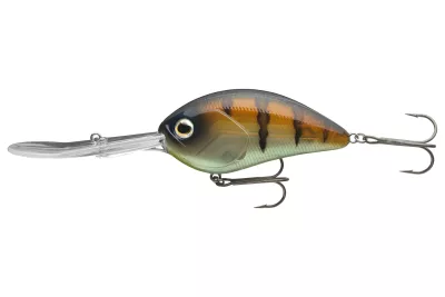 DAIWA Steez Crank 200F-MR artistic chart 5.4cm 10.6g Mini-Crankbait schwimmend Medium Deep Runner — 500F-DR 7.00 ghost baby gill