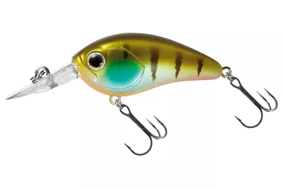 DAIWA Steez Crank 200F-MR artistic chart 5.4cm 10.6g Mini-Crankbait schwimmend Medium Deep Runner — 100F-SR 5.40 ghost gill