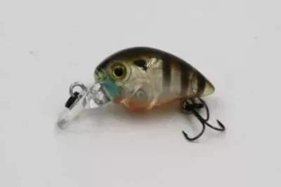 TAIPAN Little Crank Gold Shiner 27mm — 2.70 Ghost US Perch