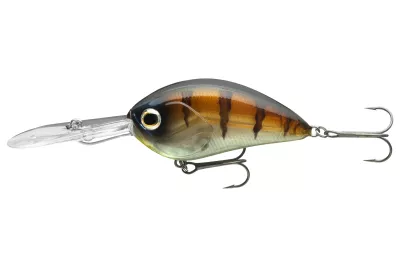 DAIWA Steez Crank 200F-MR artistic chart 5.4cm 10.6g Mini-Crankbait schwimmend Medium Deep Runner — 300F-DR 6.10 ghost baby gill