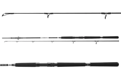 DAIWA BG Offshore Pilk 802H 2tlg 40-125g 2.40m Pilkrute — Pilk 125 2.40