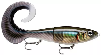 RAPALA X-Rap Otus Scaled Roach 17cm XROU17 SCRR — 17.0 SMB