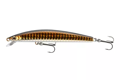 DAIWA Tournament Minnow SP gold lense 9.5cm|9.5g — 12.0 GOL