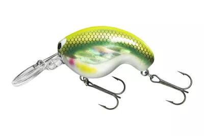 DAIWA Prorex Fuku Zero Crank blue perch 54mm 14.0g 1Stk. Wobbler — Chibi Fuku 1 4.10 yummi