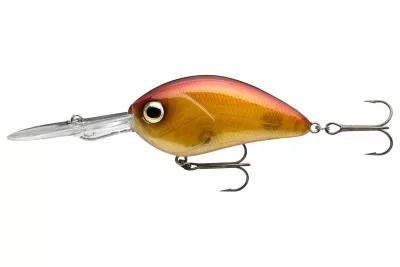 DAIWA Steez Crank 200F-MR artistic chart 5.4cm 10.6g Mini-Crankbait schwimmend Medium Deep Runner — 300F-DR 6.10 spawning ghost