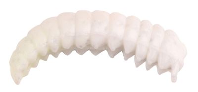 Camola 30 Worm 30mm 15st — 3.00 White
