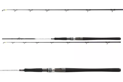 DAIWA GrandWave Halibut 762H 2tlg 15-25lb 2.25m — Boat 40 2.25