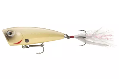 DAIWA Steez Popper 60F blue back chart 6.0cm 7.6g Popper schwimmend Top Water — 60F 6.00 Bone