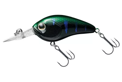 DAIWA Steez Crank 200F-MR artistic chart 5.4cm 10.6g Mini-Crankbait schwimmend Medium Deep Runner — 100F-SR 5.40 monster gill