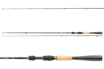 DAIWA Caldia Sensor Spin 702L 2tlg 3-10g 2.10m — Spin 6 2.30