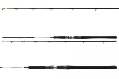 DAIWA GrandWave Halibut 762H 2tlg 15-25lb 2.25m — Boat 20 2.25