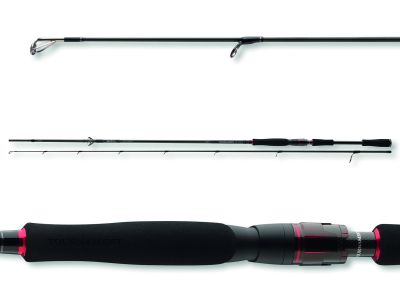 DAIWA Tournament AGS Spin 702H 2S|14-42g|2.10m — Spin 42 2.70