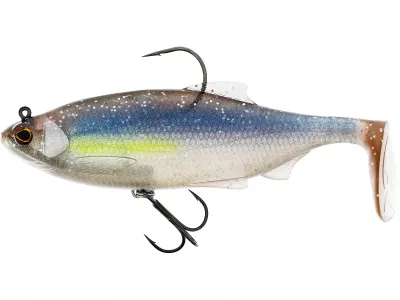 Westin Ricky the Roach Shadtail R 'N R 14cm 57g Sinking Lively Roac - Gummifisch — 14.0 Real Rudd