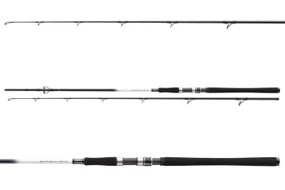 DAIWA GrandWave Pollock 802M 2tlg 40-100g 2.40m — Pilk 100 2.40