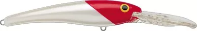 RAPALA Deep Thunder 11 cm FT Floating 3-5,6m Fire Tiger — 11.0 MBT