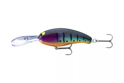DAIWA Prorex Fuku Hayate Crank ghost yellow ayu 55mm 7.0g 1Stk. Wobbler — 5.50 blue tiger